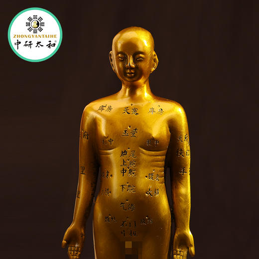 黄铜针灸穴位铜人全身穴位经络模型大诊所药店装饰扎针中医药医馆 商品图8