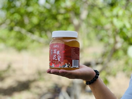 限时特惠 | 新疆阿克苏野生花蜜 冰糖心苹果花蜜/沙枣蜜 商品图2