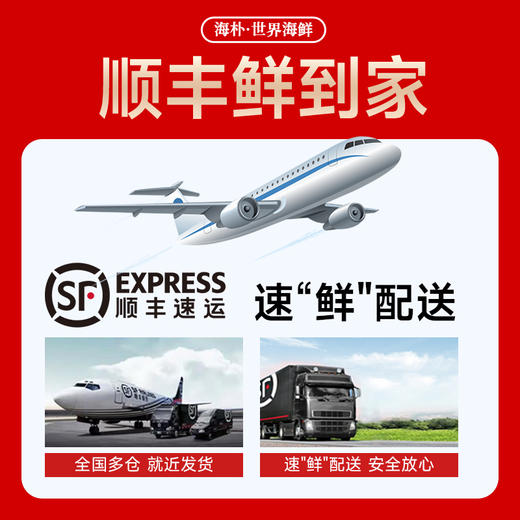 海朴海鲜礼盒7900g年夜饭必备节日送礼送长辈冻品海鲜龙虾帝王蟹 商品图3