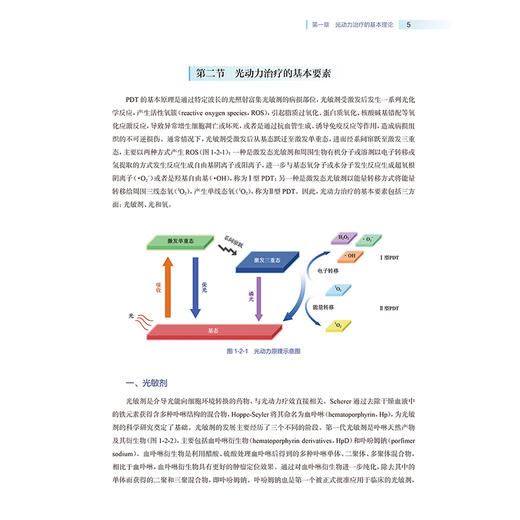 口腔黏膜病的光动力治疗 但红霞 陈谦明 详细介绍了口腔黏膜病光动力治疗的标准操作流程 不良反应及特殊病例的处理人民卫生出版社 商品图4