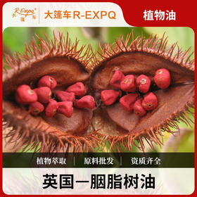 胭脂树油Arnotto原料批发 SPA按摩植物油基础油 美容院按摩油批发