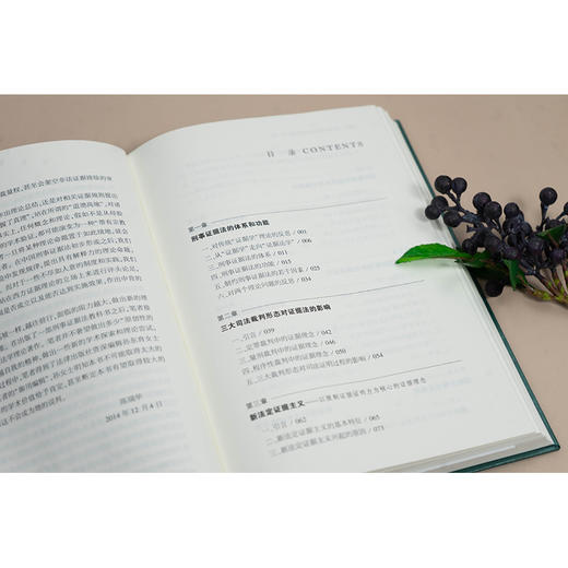 刑事证据法的理论问题（第三版 非手签版）  陈瑞华著  法律出版社 商品图2