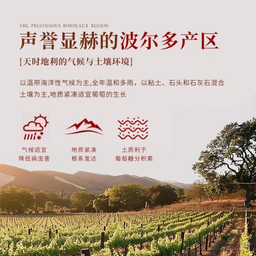 【国际金奖 享誉满名】  拉芳特古堡干红葡萄酒14°%  法定AOC产区 商品图3