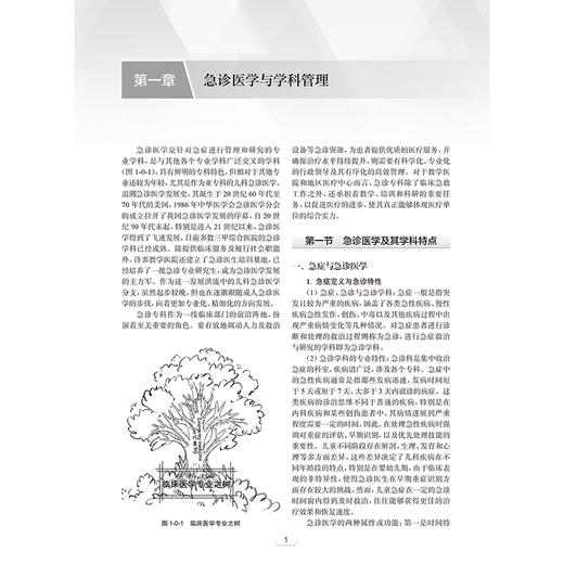 实用儿科急诊医学 朱翠平 主编 内容囊括了急诊儿科的规范化管理等 适合儿科 急诊科及全科医生阅读和参考 儿科学 人民卫生出版社 商品图4