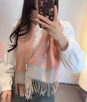 秋冬特惠💰260 罗意威️围巾 难得一见的温柔配色