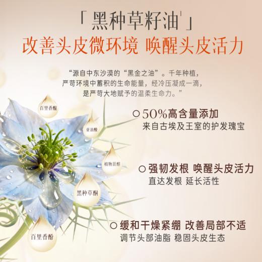 逐本头皮按摩油植萃清透&馥萃盈润按摩油 50mL 商品图4