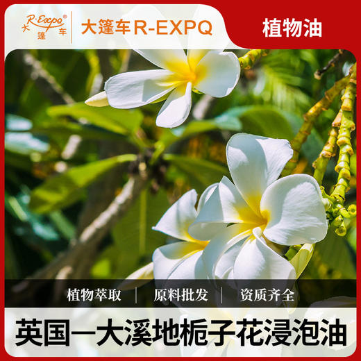 大溪地栀子花浸泡油 Gardenia Infused原料批发 SPA按摩油基础油 商品图0