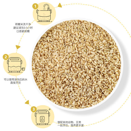 袋鼠小布黑龙江粳米780g罐装 粒粒饱满自然香软胚芽米健康主食 商品图6