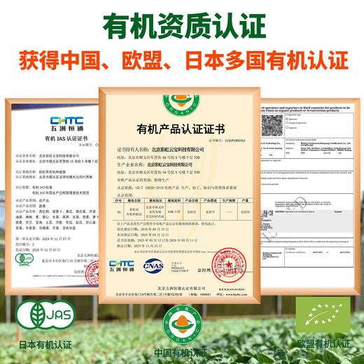 新鲜现摘有机蔬菜草莓西红柿500g番茄欧盟有机认证 商品图1