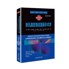 西医经典名著集成：单孔腹腔镜结直肠手术学