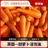 胡萝卜浸泡油按摩植物基础油美容院按摩油批发Carrot SPA 商品缩略图0