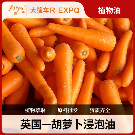 胡萝卜浸泡油按摩植物基础油美容院按摩油批发Carrot SPA 商品图0