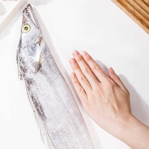 【顺丰快递】渔礼记·渤海湾刀鱼礼盒 🧧渤海第一珍 人间第一鲜 🧨山海珍馐贺新岁 🐟一尾鲜刀纳百福 商品图4