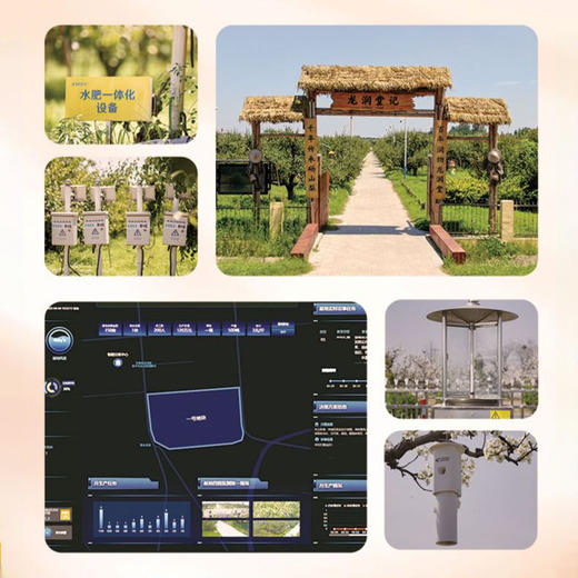 龙润堂老字号 梨耳羹 260g*6碗 商品图4