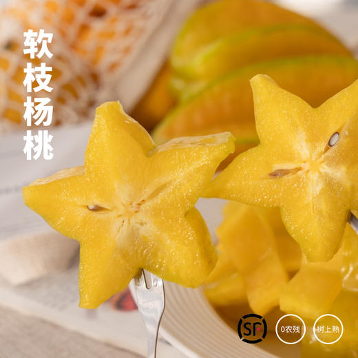 【3-5天发】福建 软枝杨桃福建特产新鲜美味可口果汁丰富  顺丰/京东随机 商品图0