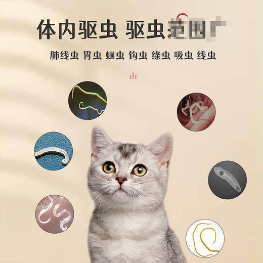 【德赛宝】芬苯达唑片-6片盒装狗狗打虫药幼猫幼犬驱蛔虫 商品图3