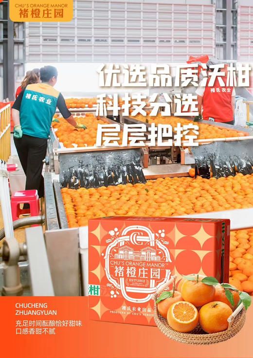 褚橙庄园沃柑礼盒4kg装 商品图3