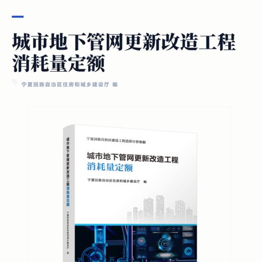 城市地下管网更新改造工程消耗量定额 商品图2