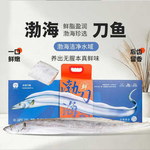【顺丰快递】渔礼记·渤海湾刀鱼礼盒 🧧渤海第一珍 人间第一鲜 🧨山海珍馐贺新岁 🐟一尾鲜刀纳百福 商品图2