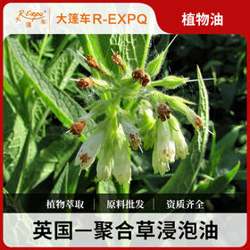 聚合草浸泡油原料批发植物基础油美容按摩Comfrey Infused