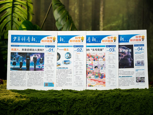 《少年科普报》2026全年订52期|小学科学素养报，一期吃透一个科学主题，横跨10大知识领域，理科启蒙零距离，早读早开窍 商品图0
