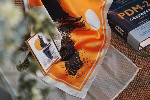 万千心理·心理动力诊断手册（原著第二版）【赠限量纪念方巾】 商品图11