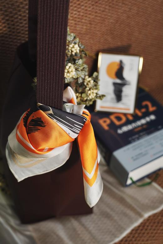 万千心理·心理动力诊断手册（原著第二版）【赠限量纪念方巾】 商品图9