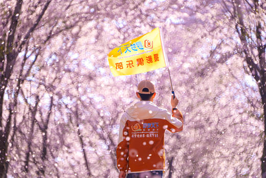 多彩贵州：平坝樱花、金海雪山、苗乡风情 6天 商品图7