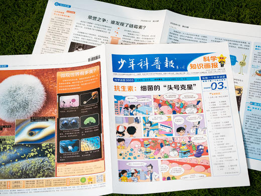 《少年科普报》2026全年订52期|小学科学素养报，一期吃透一个科学主题，横跨10大知识领域，理科启蒙零距离，早读早开窍 商品图3