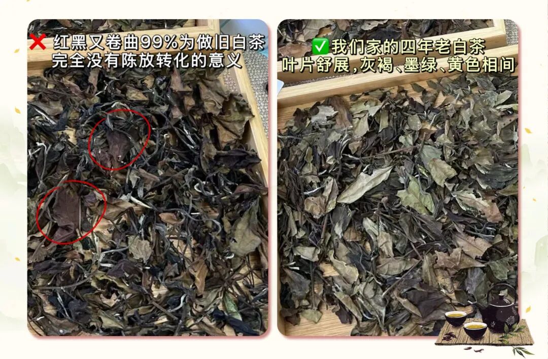 白茶对比.jpg