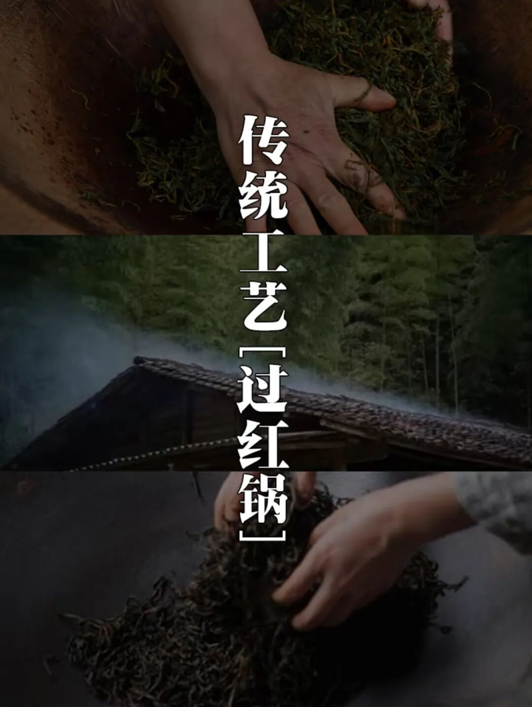 红茶1.jpg