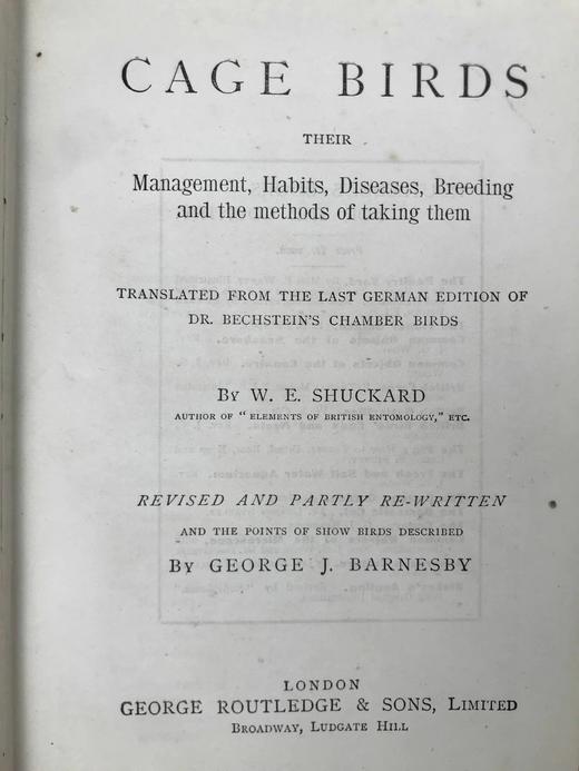 约19世纪后期 笼养鸟类指南 10余幅版画插图 漆布精装36开 商品图4