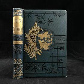 1888年 科尔曼《英国蝴蝶图鉴》 15页版画插图 漆布精装32开
