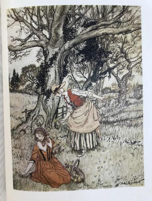 鬼才拉克姆12幅彩色手工贴图！1931年 沃尔顿《钓客清话》 漆布精装16开 商品图7