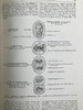 1923年 人类进化的科学研究（全2卷合订本） 408幅版画插图 漆布精装大32开 商品缩略图12