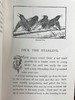 1891年 布莱特温夫人《以善意赢得的野生自然》 17幅插图 真皮精装36开 商品缩略图8