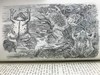 1920年 两栖与爬行动物图鉴 181幅插图 漆布精装大32开 商品缩略图10