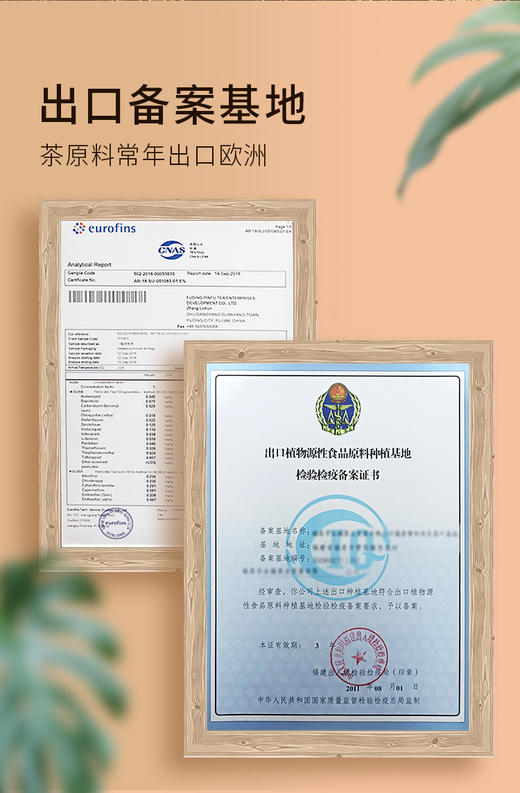 年货福利 2022年福鼎老寿眉散茶 200克简装 商品图10