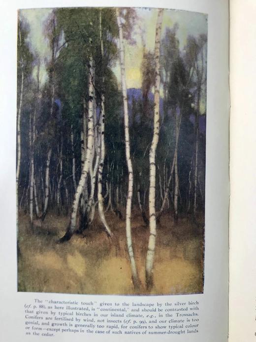 1910年 世界各地风物志含中国内容 24幅彩色插图 漆布精装32开 商品图12