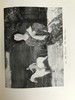 1924年 捷克艺术图集 203幅插图 精装16开 商品缩略图12
