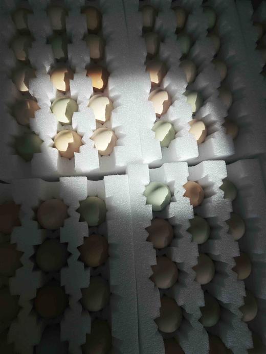 初产蛋60枚120元，全国包邮 商品图5