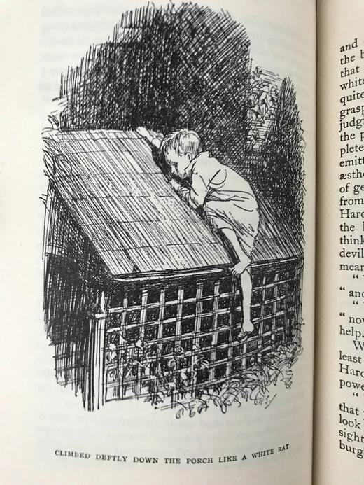 格林厄姆《黄金时代》 谢泼德28幅插图 精装32开 商品图14