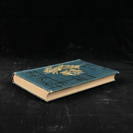 1888年 科尔曼《英国蝴蝶图鉴》 15页版画插图 漆布精装32开 商品图1