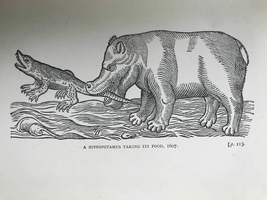 1901年 莎士比亚时代的英国小说 57幅插图 漆布精装32开 商品图10