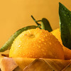 渝礼橙-奉节脐橙 多规格可选 商品缩略图1
