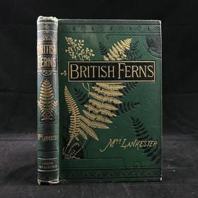 约19世纪后期 兰克斯特夫人《英国蕨类植物图鉴》 16幅套色版画插图 漆布精装32开