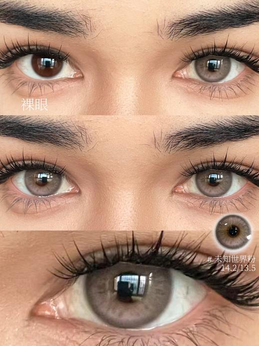 Serltyca 日抛 六片 未知世界粉 直径14.2mm着色13.5mm 商品图3