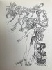 约20世纪早期 菲尔波茨《一碟苹果》 鬼才拉克姆3幅彩色7幅黑白插图 漆布精装32开 商品缩略图9