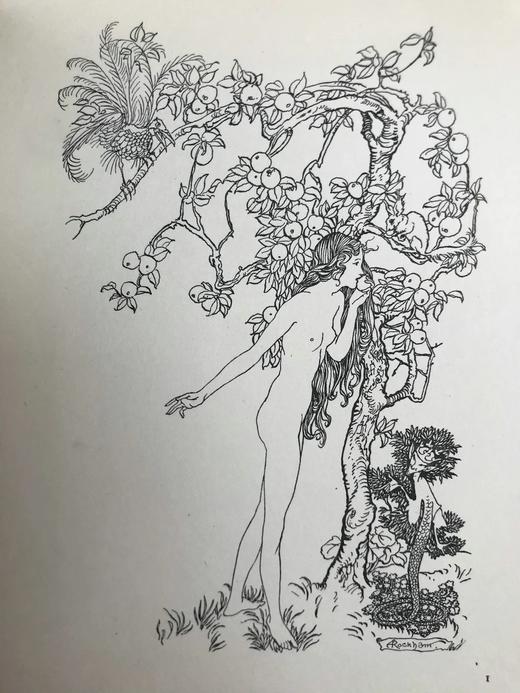 约20世纪早期 菲尔波茨《一碟苹果》 鬼才拉克姆3幅彩色7幅黑白插图 漆布精装32开 商品图9