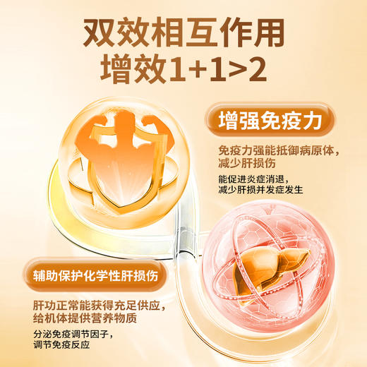 【赠品】翠云堂灵芝姜黄胶囊 10粒/板 商品图2